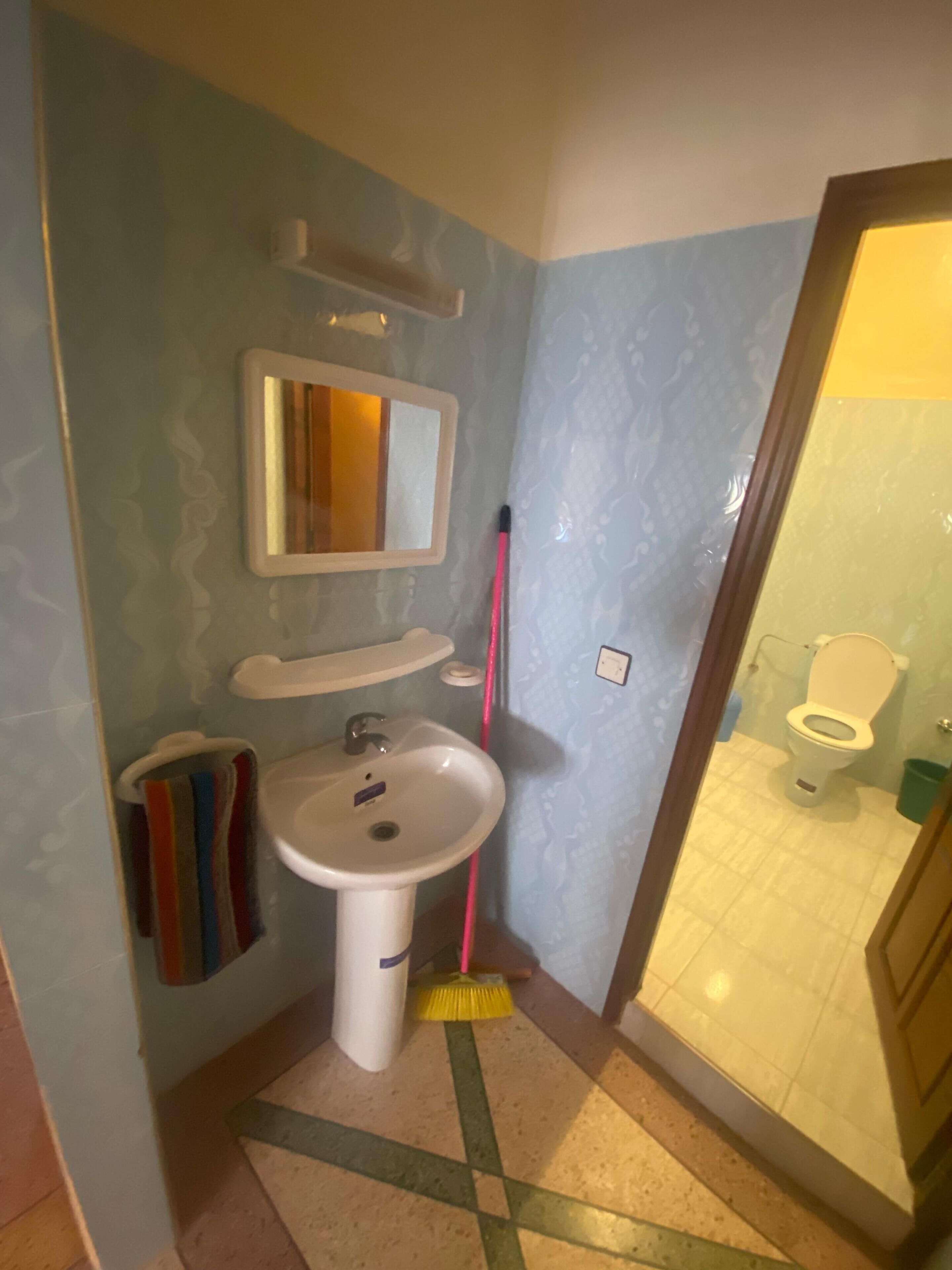 A bathroom with a sink, mirror, and toilet.