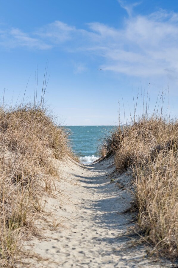 Beach nearby - Port O Call A202: Ocean View Condo in Wild Dunes (Isle of Palms)