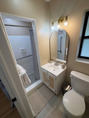 Shower, towels, soap, toilet paper - Updated Ocala Home - Close to WEC, HITS & Downtown (Ocala)