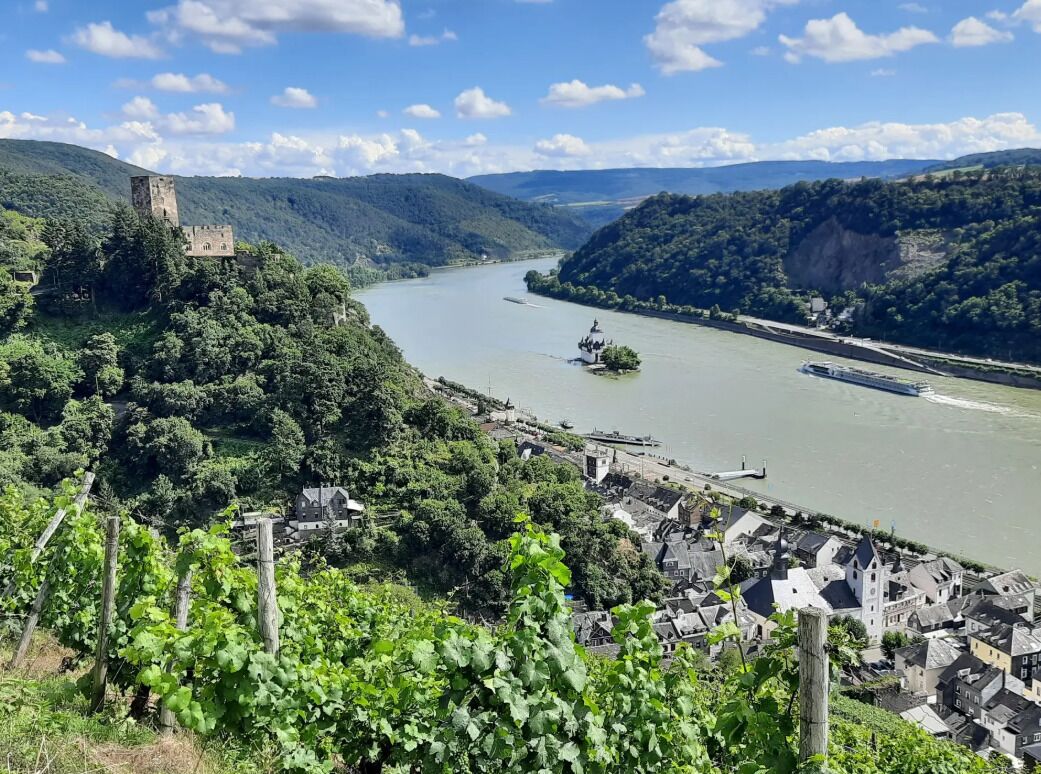 Eine Flussstadt mit einem Schloss auf einem Hügel, Weinbergen und einem Boot auf dem Fluss.