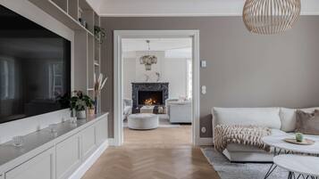 Télévision, cheminée, jeux vidéo, livres