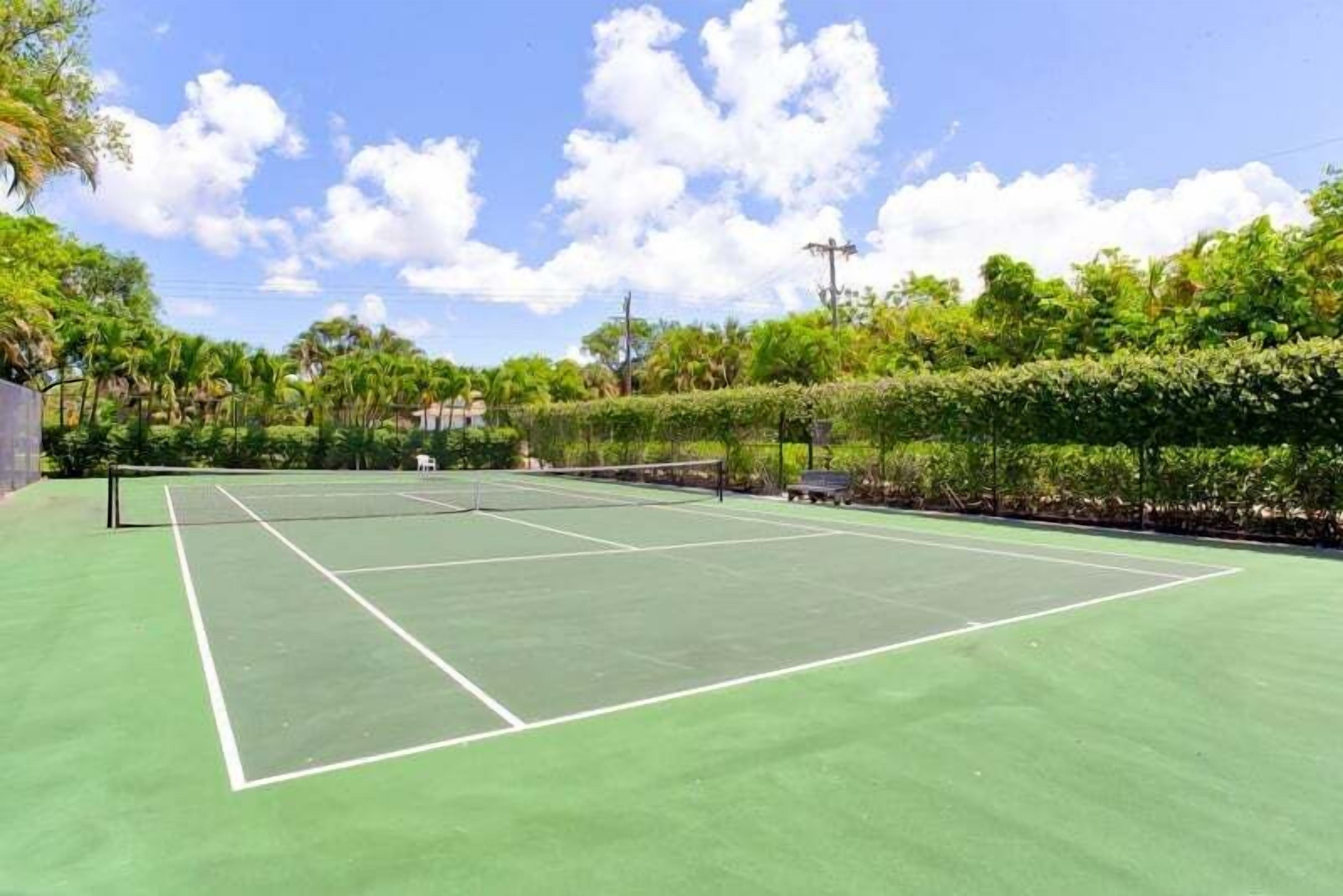Ein Tennisplatz im Freien, umgeben von üppiger Vegetation und Bäumen.