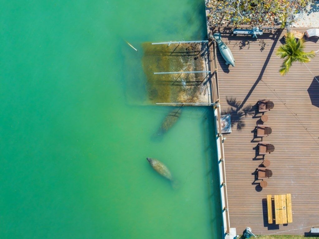 An aerial view of a dock with a wooden deck, a small boat, and a clear green water body.