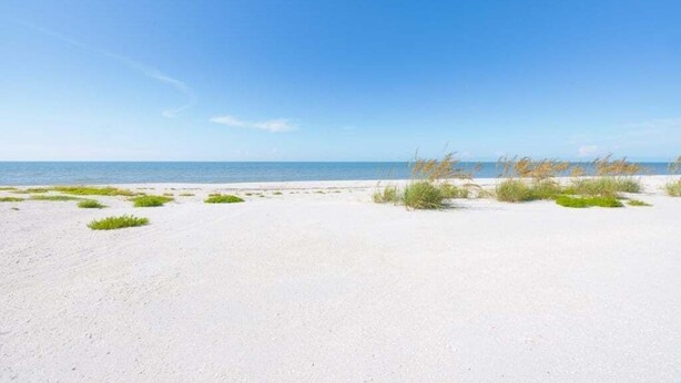 A sandy beach with sparse vegetation and a clear blue sky. - Chic Island Haven - Seashells Unit #38 2 Bedroom Condo (Sanibel)