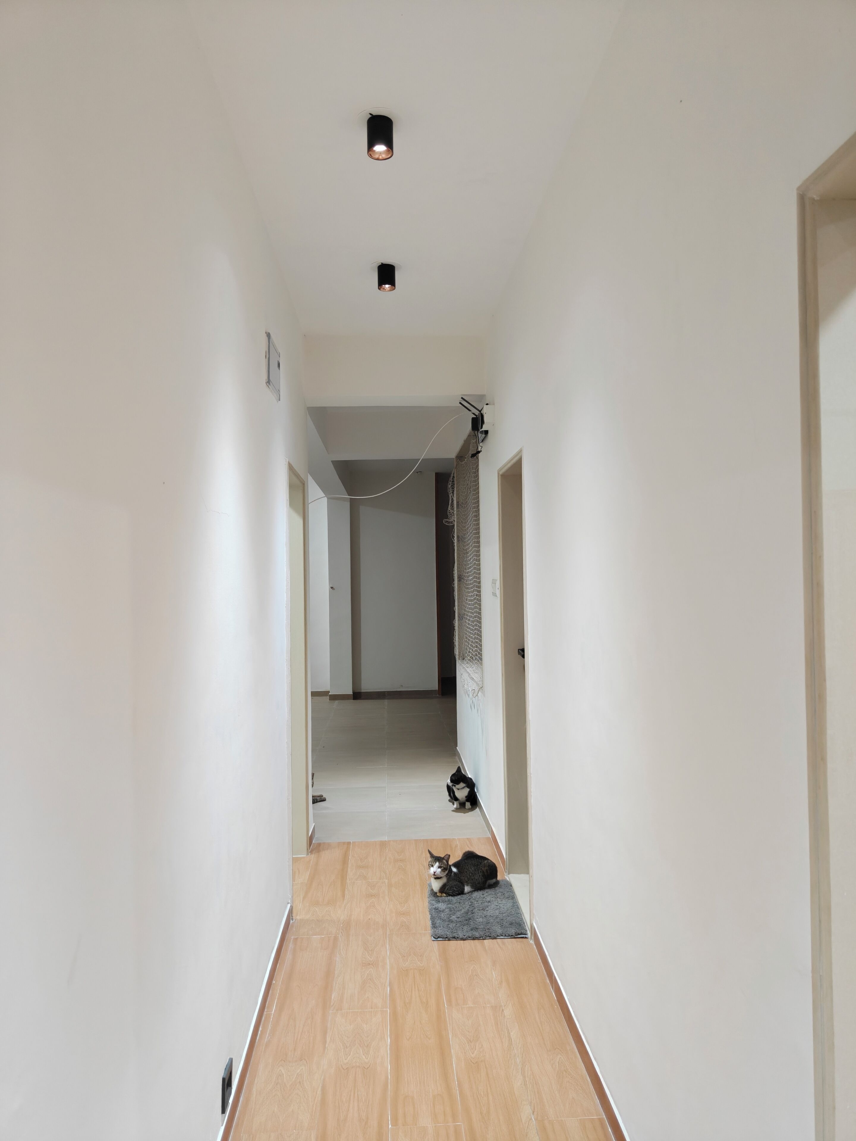 A narrow hallway with a wooden floor, white walls, and a ceiling light.