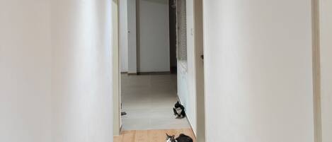 A narrow hallway with a wooden floor, white walls, and a ceiling light.