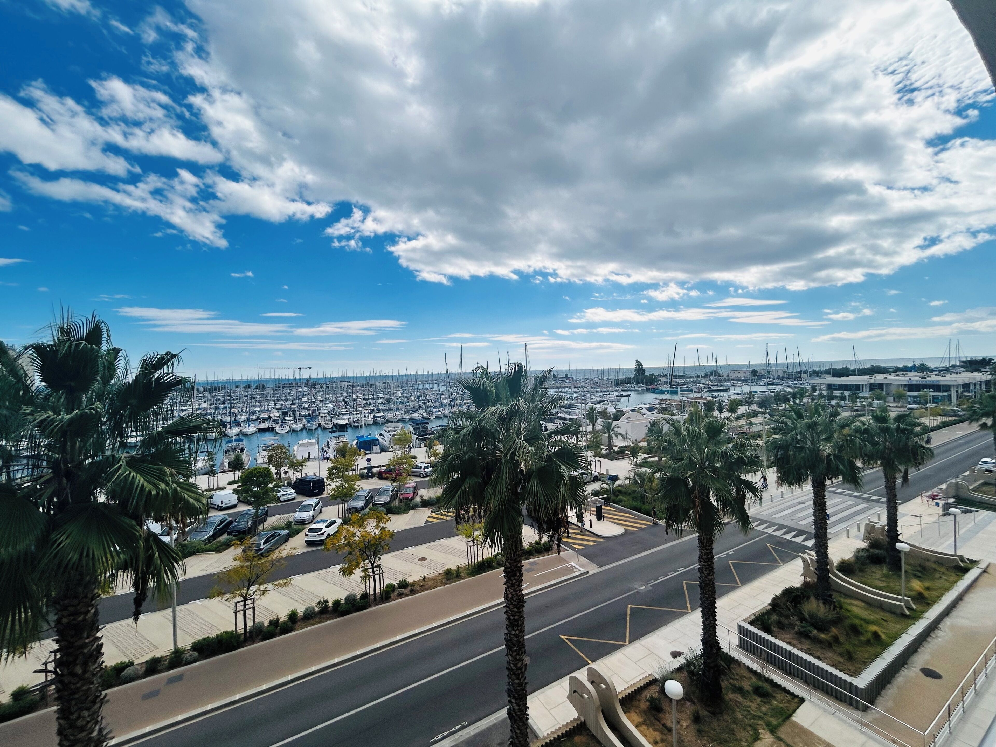 A marina with numerous boats, a road with palm trees, and a clear sky.