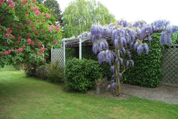 Jardin partagé