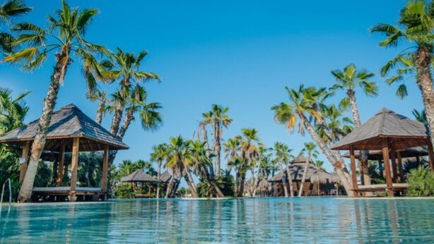 A poolside area with palm trees and thatched-roof structures. - Mobile Home with Terrace in Crevillent (Crevillente)