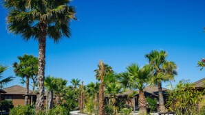 A pathway lined with palm trees and a building with a thatched roof. - Mobile Home with Terrace in Crevillent (Crevillente)