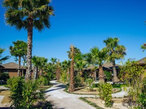 Property grounds - Mobile Home with Terrace in Crevillent (Crevillente)
