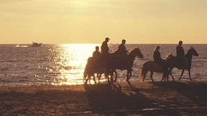 Silhouetten van mensen te paard nabij een water bij zonsondergang.