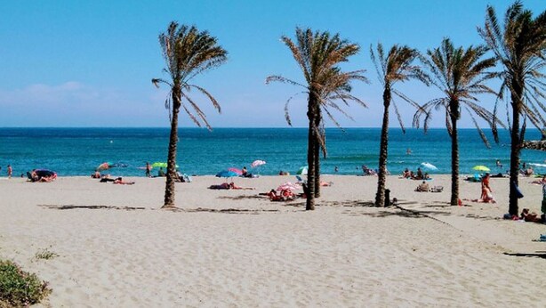 Een strand met palmbomen en mensen die zonnebaden.