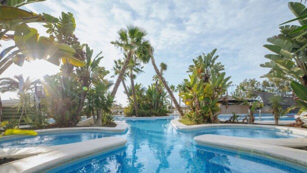 A swimming pool with clear blue water, surrounded by tropical plants and palm trees. - Bungalow with Terrace and Accessible Ramp in Guardamar (Guardamar del Segura)