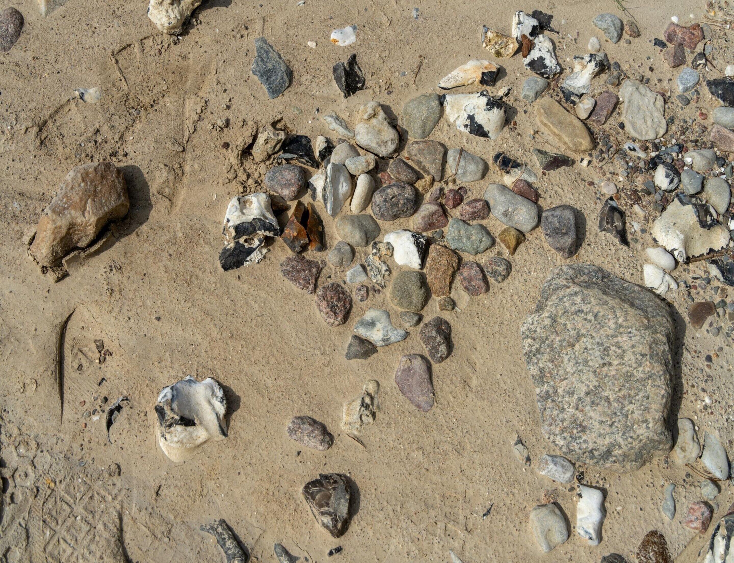Una playa arenosa con rocas y conchas dispersas.