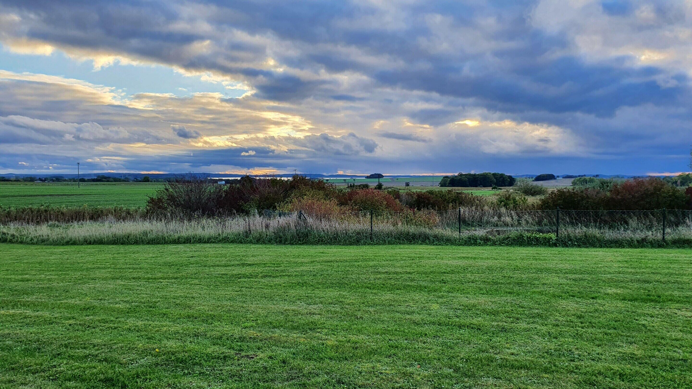 A grassy field with a fence, trees, and a cloudy sky.
