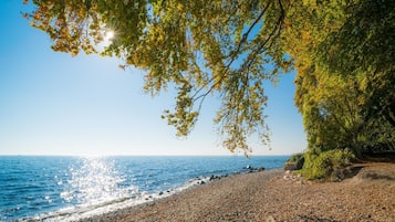 Apartment | View from property