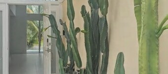 Comfortable n nice 1 or 2 bedrooms in beautiful house in Pembroke Pines