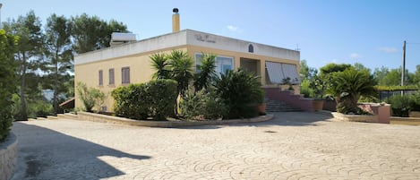 Un edificio con un patio empedrado, rodeado de vegetación y árboles.
