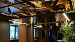 Een moderne, goed verlichte kamer met een grote spiegel, yogamatten, een klein krukje en een potplant.