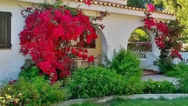 Property grounds - Villa für 8 Personen by Interhome (Calasetta)