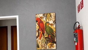 A hallway with a grey wall, a fire extinguisher mounted on it, and a painting of parrots. - NOSSO HOTEL (Três Lagoas)
