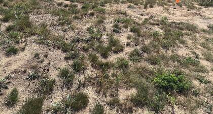 Cozy fifth wheel located on a private campground in Interlochen.