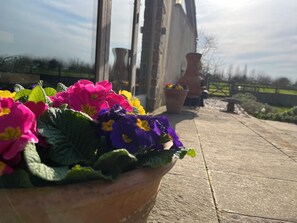 Exterior detail - Peaceful dog friendly Somerset retreat near Langport. Garden and orchard views. (Bridgwater)