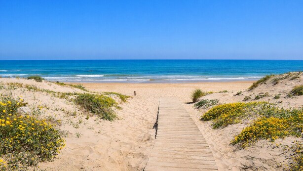 Ein Sandstrand mit einem hölzernen Weg zum Meer.