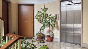 Un couloir avec une porte en bois, une plante en pot et un ascenseur.