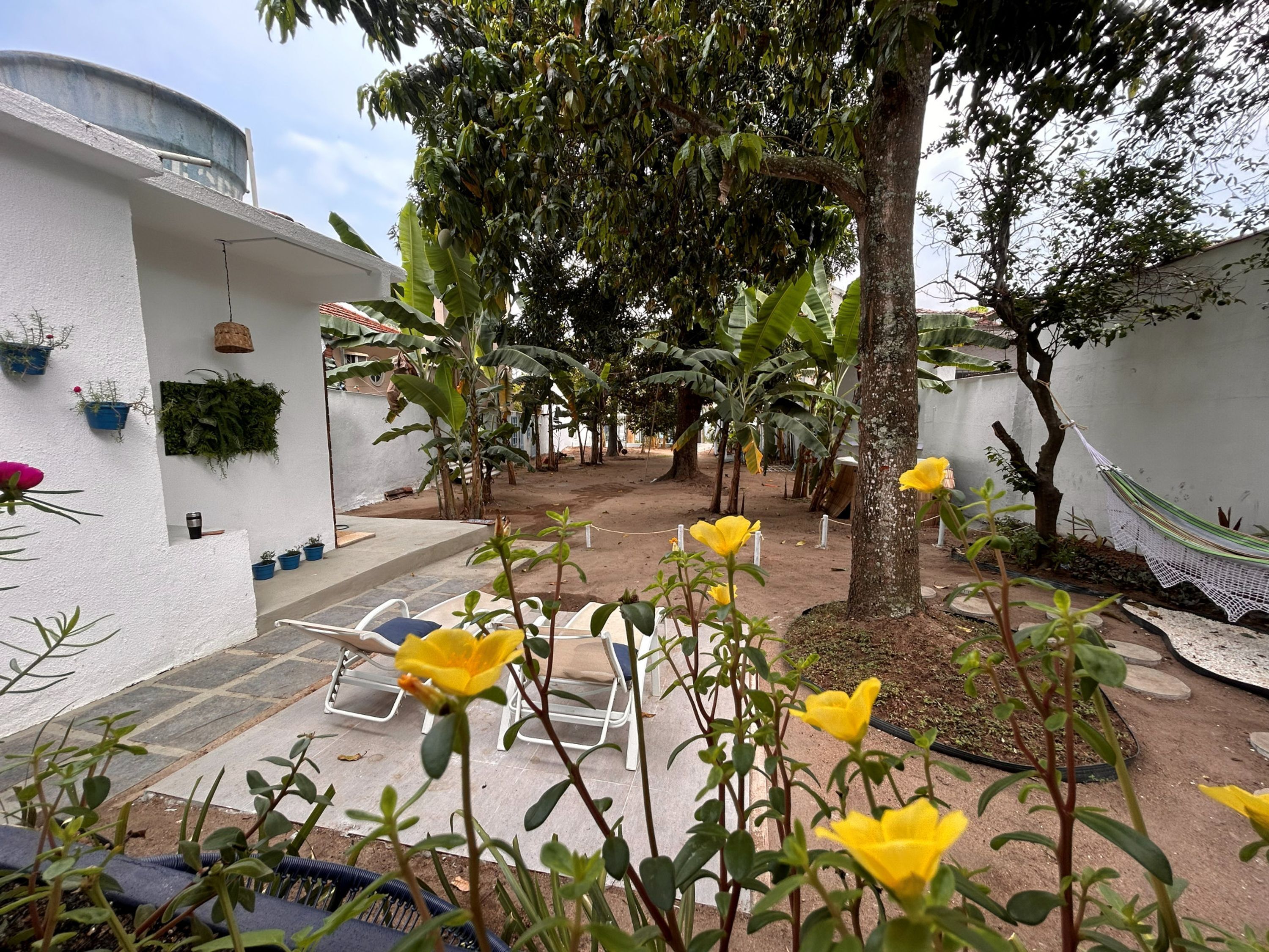 A courtyard with white walls, potted plants, a hammock, and outdoor seating.