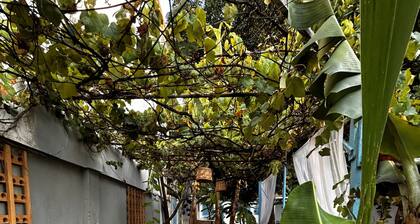 Flor e Fruto Retreat - Little Flower House