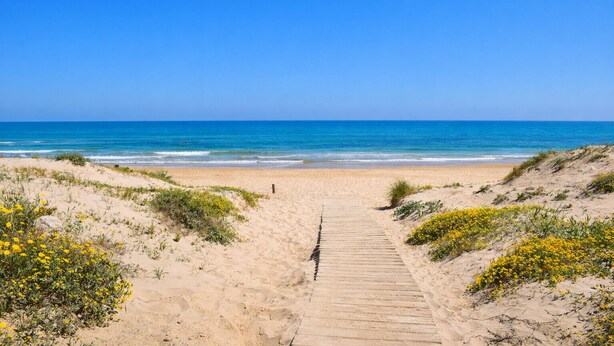 A sandy beach with a wooden pathway leading to the ocean. - Ch1200 in Oliva With 3 Bedrooms and 2 Bathrooms (Oliva)
