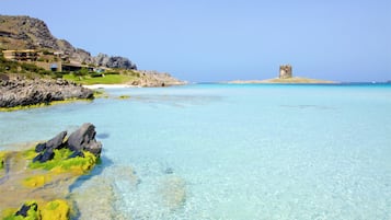 Apartment, 3 Bedrooms, Patio, Garden View | Exterior