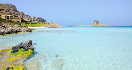 A Welcoming Ground-floor Accommodation