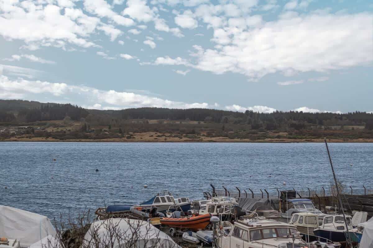 Una marina con barcos amarrados, una masa de agua tranquila y una colina boscosa al fondo.