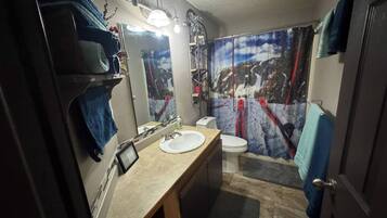 Hair dryer, towels, soap, toilet paper