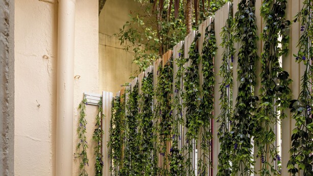 Un pequeño espacio al aire libre con una mesa redonda y sillas, rodeado por un muro cubierto de plantas trepadoras.