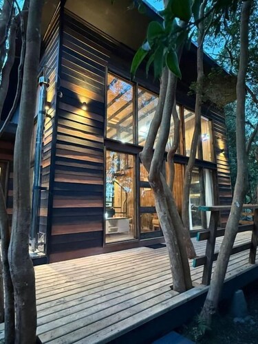 Cabañas Mountain Fox