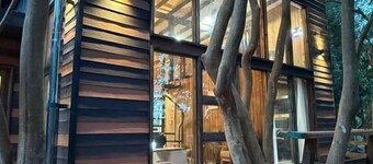 Cabañas Mountain Fox