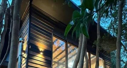 Cabañas Mountain Fox