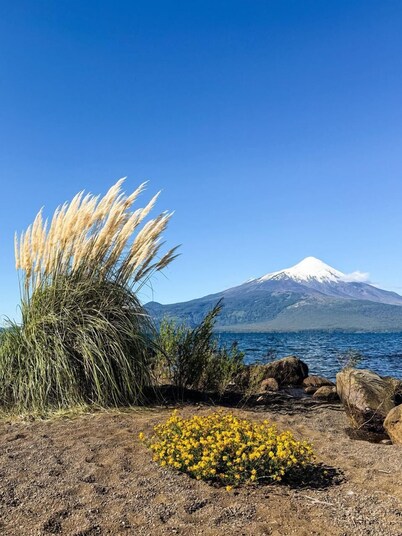 Cabañas Mountain Fox