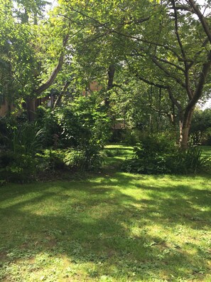 Property grounds - Hidden Gem Located just off Highbury Fields (London)