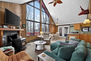 Smart TV, fireplace, books