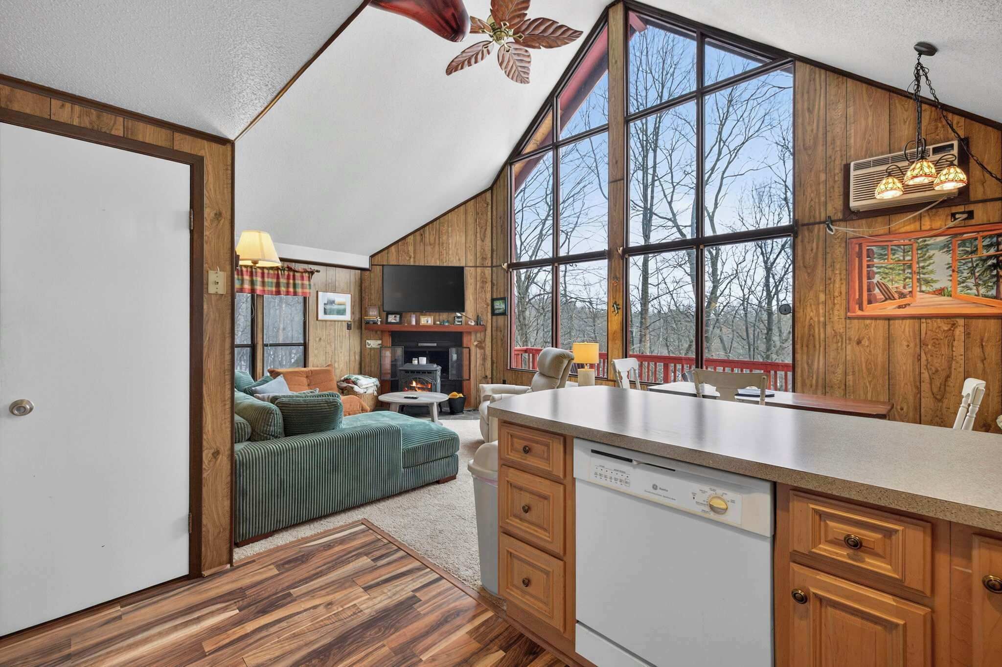 Smart TV, fireplace, books