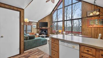 Smart TV, fireplace, books