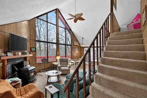 Smart TV, fireplace, books