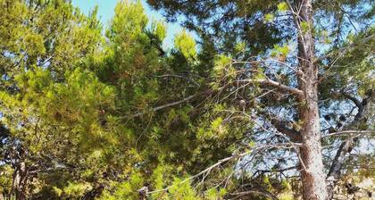 Beautiful 400 year old Spanish countryside Cortjo with a 12m x 6m private pool