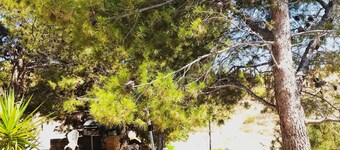 Beautiful 400 year old Spanish countryside Cortjo with a 12m x 6m private pool