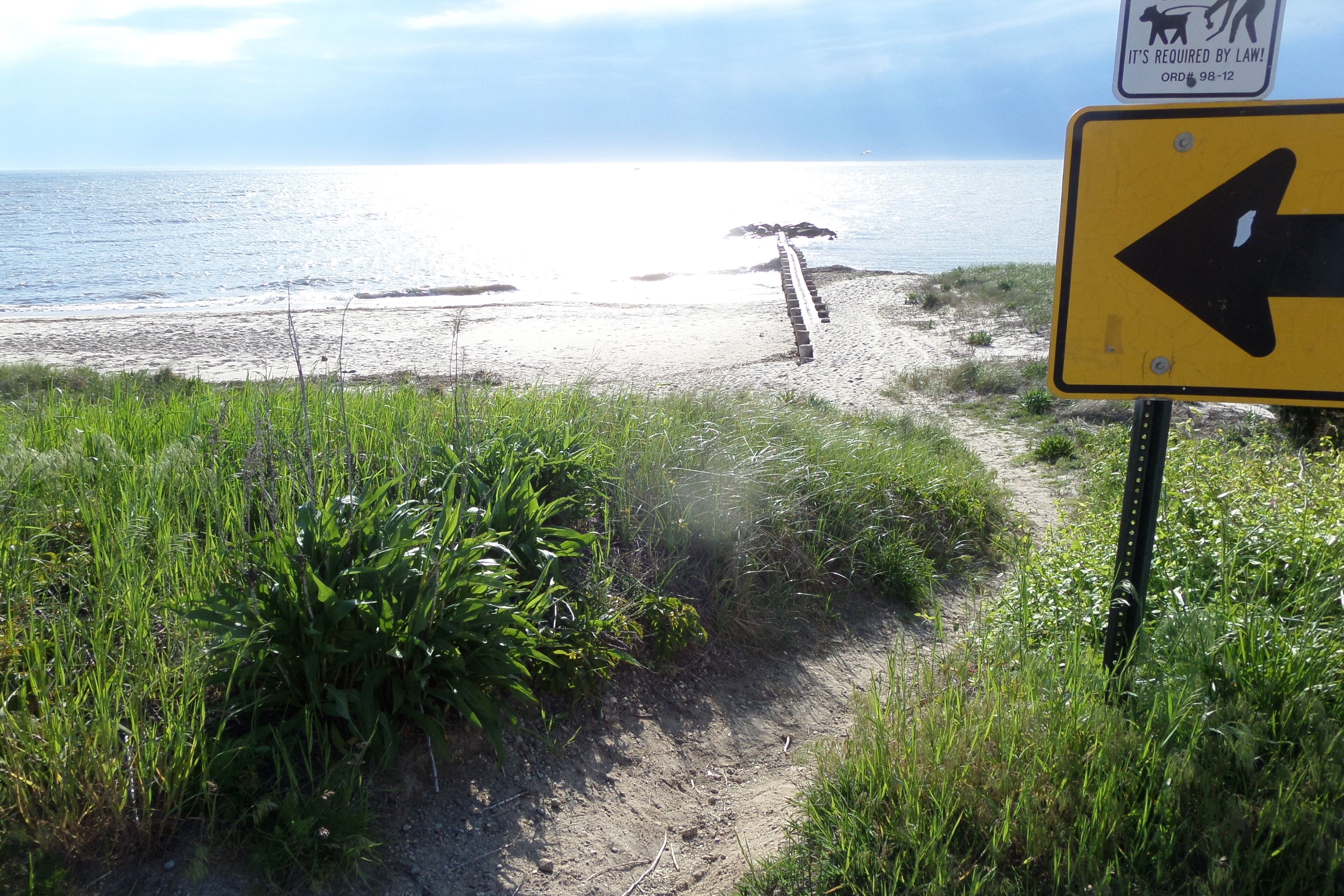 Chaises longues, serviettes de plage